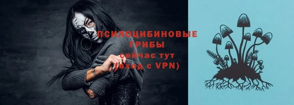мяу мяу мука Горняк
